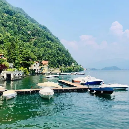 Penthouse * ארגגנו